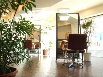 haru hair ハルヘアー