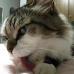 11887265_683334741802452_304075888_a