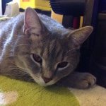 10536904_1450865208516274_1746691308_a