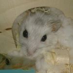 11850300_829953480444916_2016868547_a