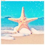 11950440_1633208810295696_1266509227_a