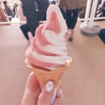 10860087_1585156895093547_701654110_a