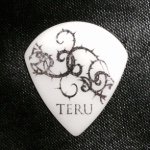 10945254_427612330719188_1952068361_a