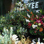 10731740_305712162965589_1274679460_a