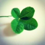 11015557_1417538825210989_1415042677_a