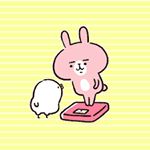 11374740_844320252323783_244044040_a