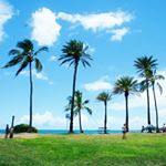 11850283_1489002224725611_209807440_a