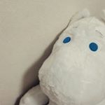 11875306_1022748747749450_2115389195_a