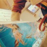 11375782_739037919536230_413576240_a