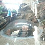 11374038_917347644971185_1330264004_a