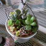 10616970_766479143395205_828437935_a