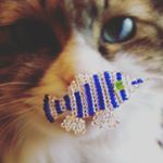 11374054_157614044579652_1699600361_a