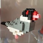 11357006_610792999062381_1251384619_a