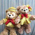 11355261_1037071359660417_415092879_a