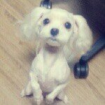 11848818_942503709105468_1514524601_a