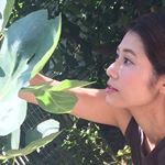 11875455_664123237056757_609167689_a