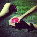 11363732_114847068866543_1062241450_a