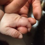 11247547_424015907771263_1828353044_a