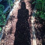 10919521_1554993538092887_493813131_a