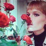 11856771_994863567222948_38980333_a