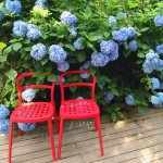 11380926_125401831125020_1685897281_a