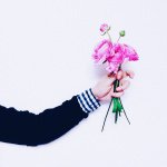 11098745_445274655635812_1601948797_a