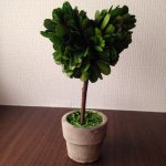 11281965_1454425734871528_782338358_a