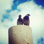 11875513_905548416177039_1969910709_a