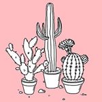 11351835_882036001882772_299486263_a