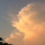 11821278_732985296846875_636229813_a