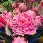 11381878_1612473079028376_1823540755_a