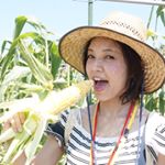 11348355_1650415211912140_164734437_a