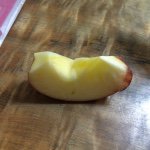 10948571_342211715972385_509164512_a