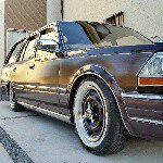 10932582_771580799594559_214090021_a