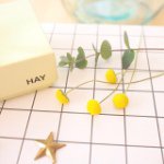 11208093_574235309345978_408913960_a