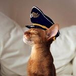 11881910_939218149449909_868249199_a