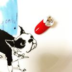 11849410_682114711924825_1017201207_a