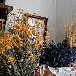 10691925_764977780228290_1735223964_a