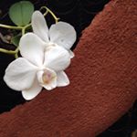 11375182_501297513369052_1119887150_a