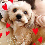 11325248_907505339313912_280942524_a