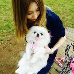 11192582_360704137465028_1857348925_a