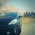 10643779_508291932607048_786588067_a