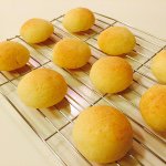 11327078_445842938912413_946136542_a