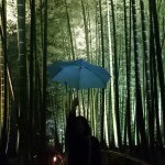 11023248_1620558981498510_1330203746_a