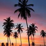 11313547_2070794386392875_483017612_a