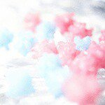 11379748_835518153168151_669558604_a