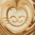 11856600_1056385187729661_1592937147_a