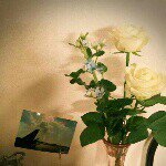 11018444_803620766387249_962202232_a