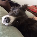 11055664_964342900242629_1835954421_a