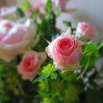 11906213_477145145790039_1412642023_a